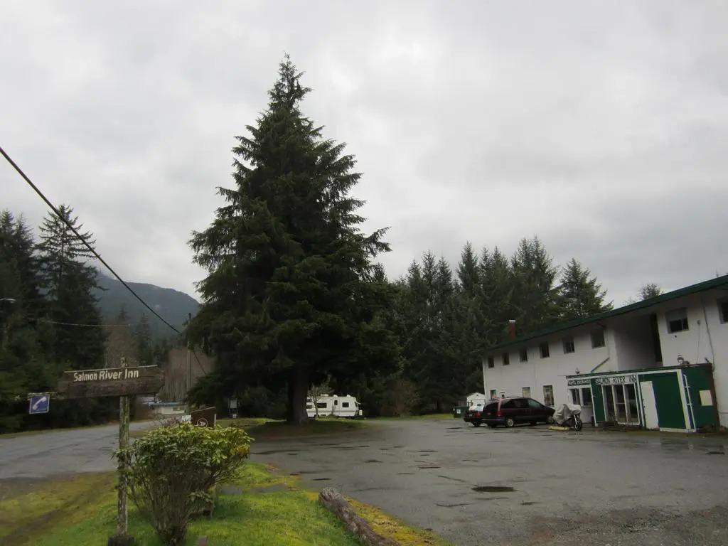 Sayward On Sea