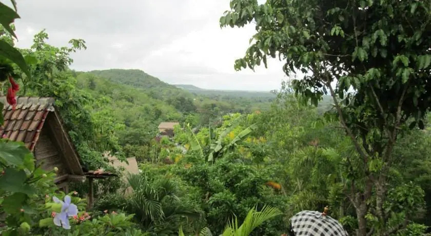 Mandala Bali