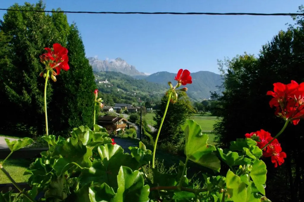 Chambres dHôtes Les Pierres Taillées