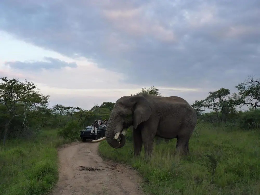 Serondella Game Lodge