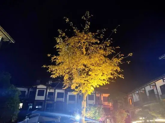 Senhuxi Hostel