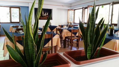 Cala Blanca Resort - Campground