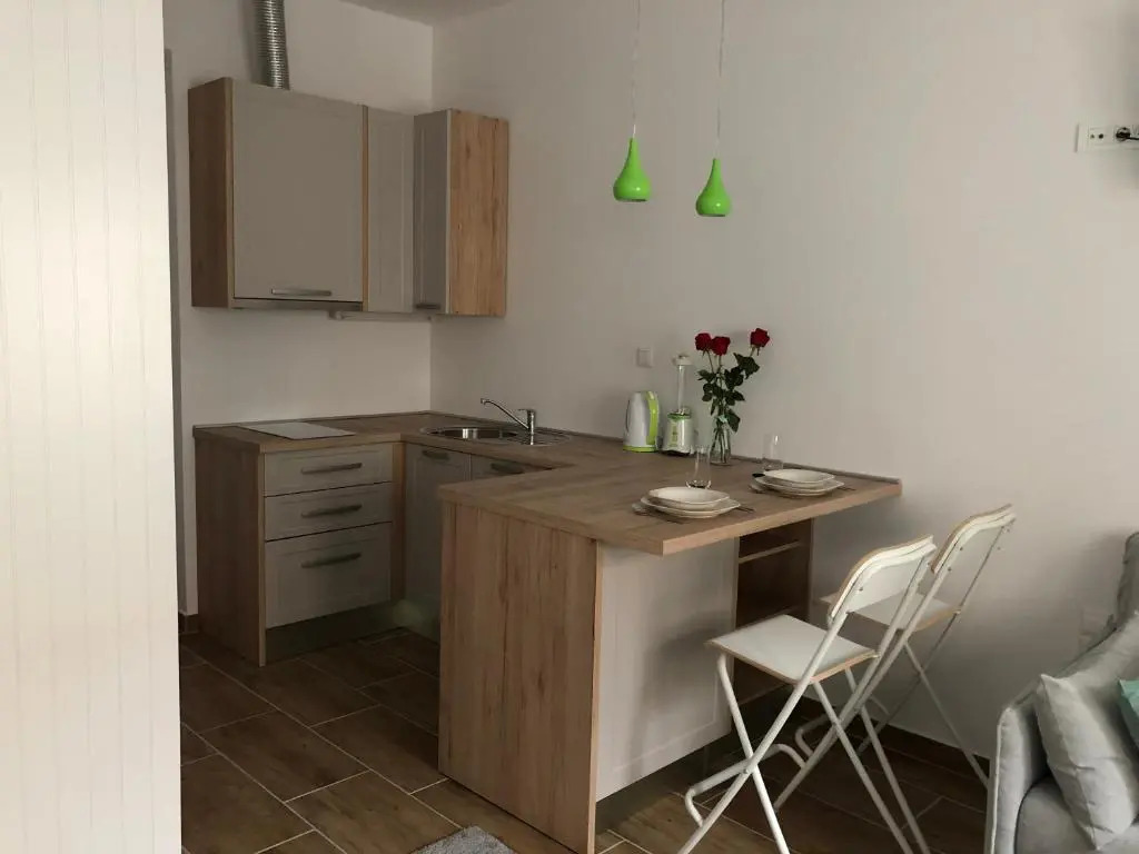 Studio apartment in center of Zagreb "Vidra"
