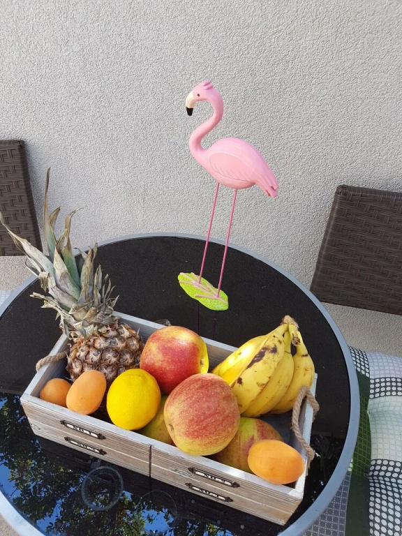 Apartment Mali Skoj