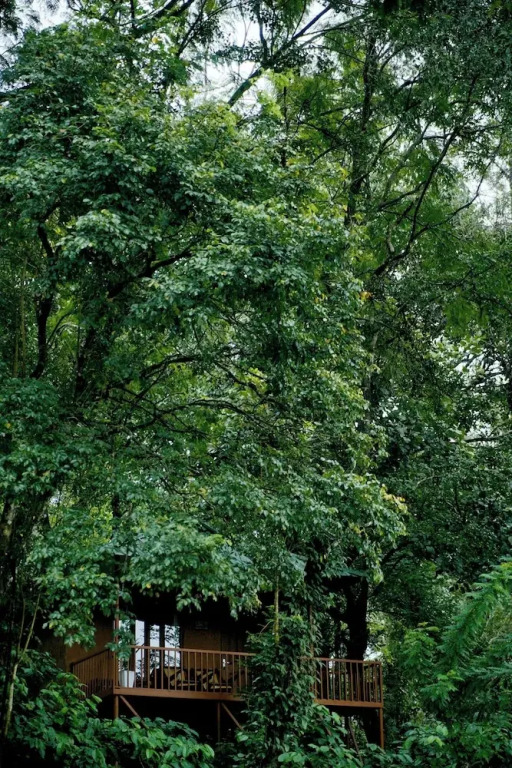 Thennal Jungle Camp Pvt Ltd