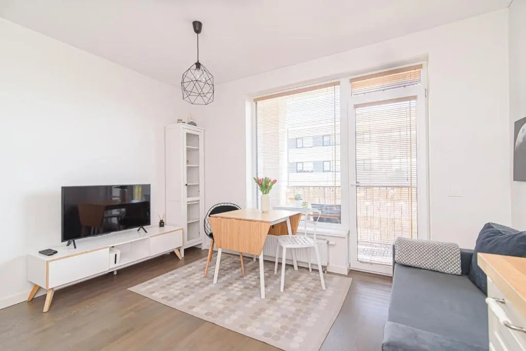 Lovely 1-bedroom apartment near park in Vilnius