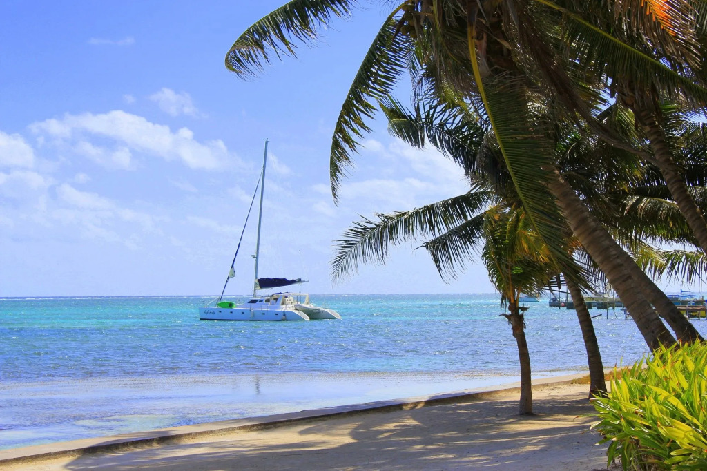 Blue Tang Inn - Beachfront Suites and Pool