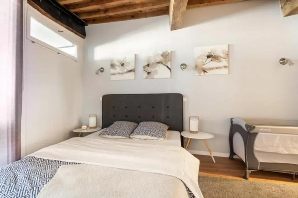 Lacustria - Luxury loft in Annecy