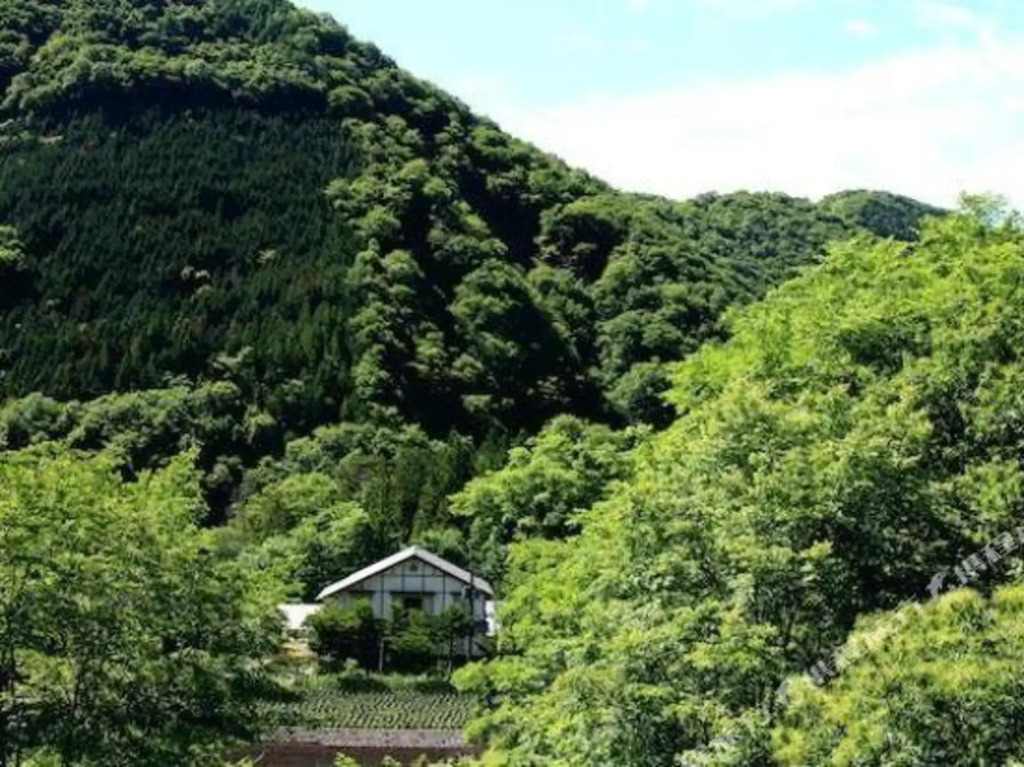 Yamahisa Inn