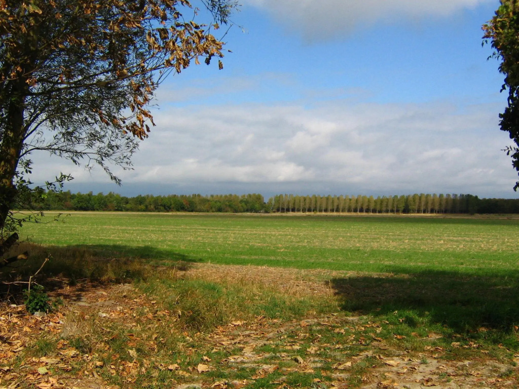 Farmhouse in Zeeland With Terrace