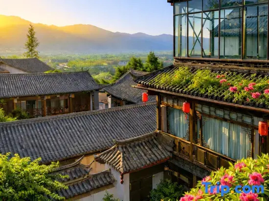 Blossom in Dreams · 360° Sky Garden · Cloud & Star Tide · Vista Guxian Light Luxury Guesthouse