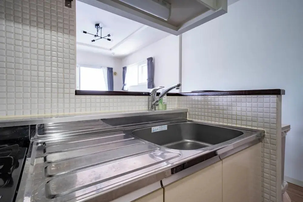 Anax Nord 203