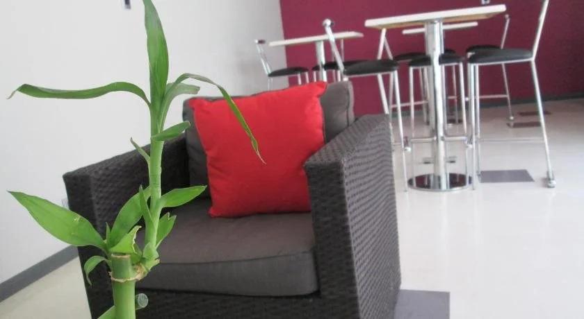 Cañas Suites Urbanas