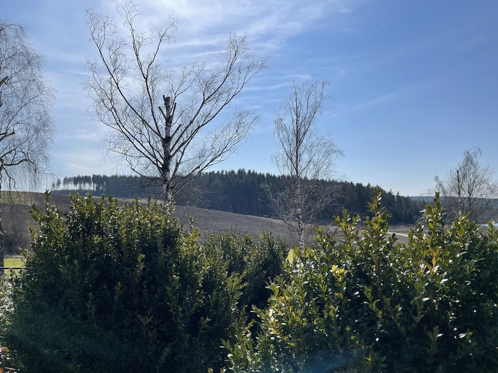 Ferienhaus Hopfental