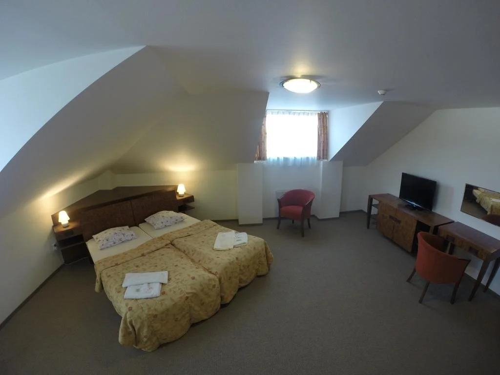 Hotel Vion