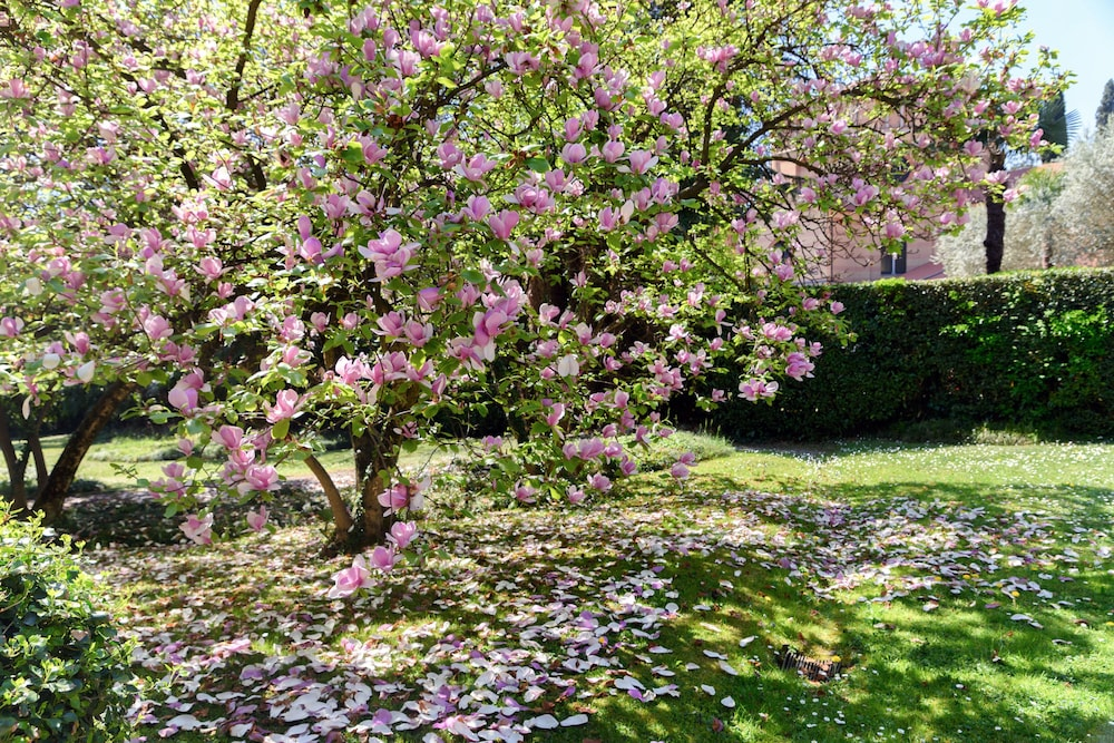 LOrangerie di Villa Mayer - MyHomeInComo