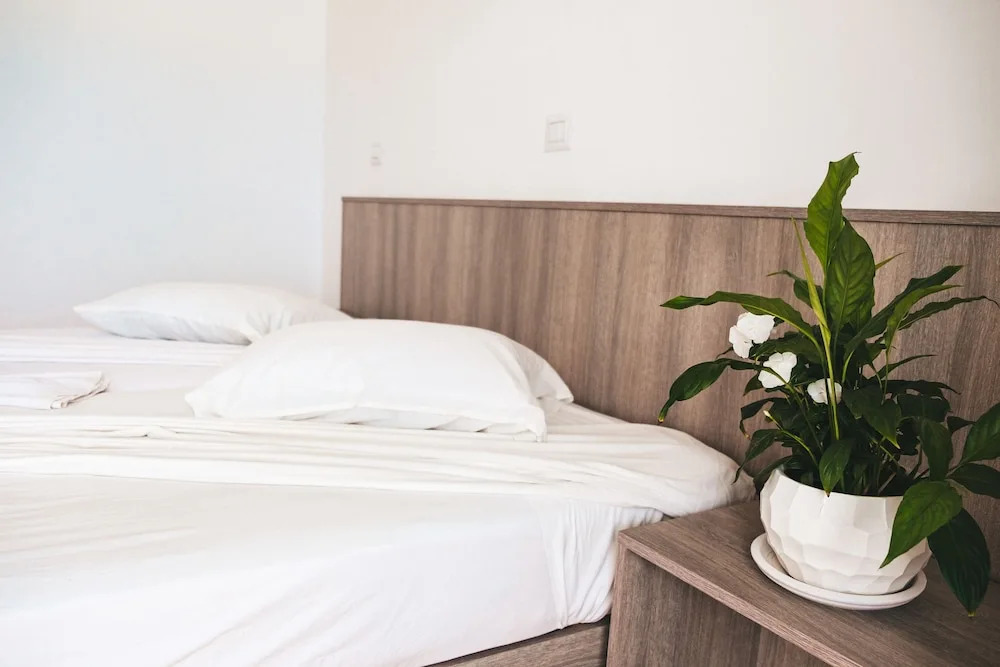 Hotel Nour Justinia
