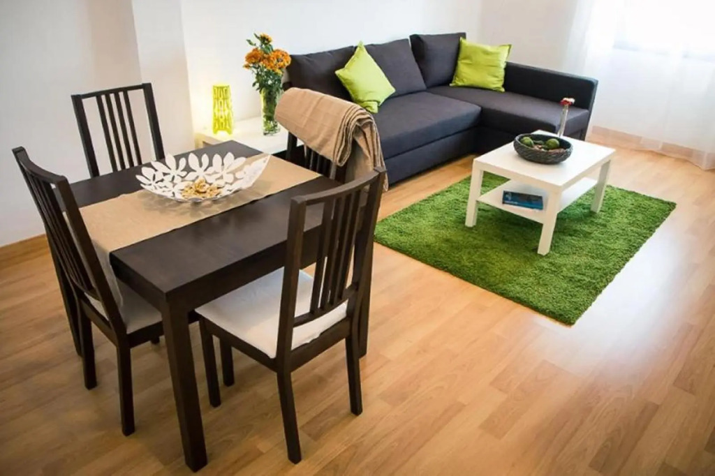 Apartment in Malaga 102296