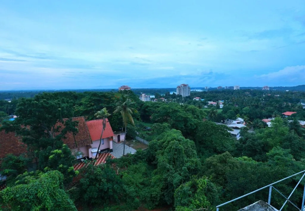 OYO 6725 Palm Inn