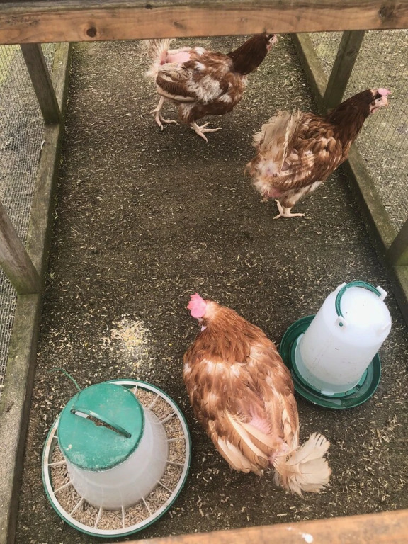 Home Farm