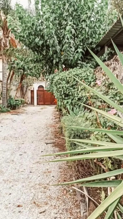 Hotel La Palma