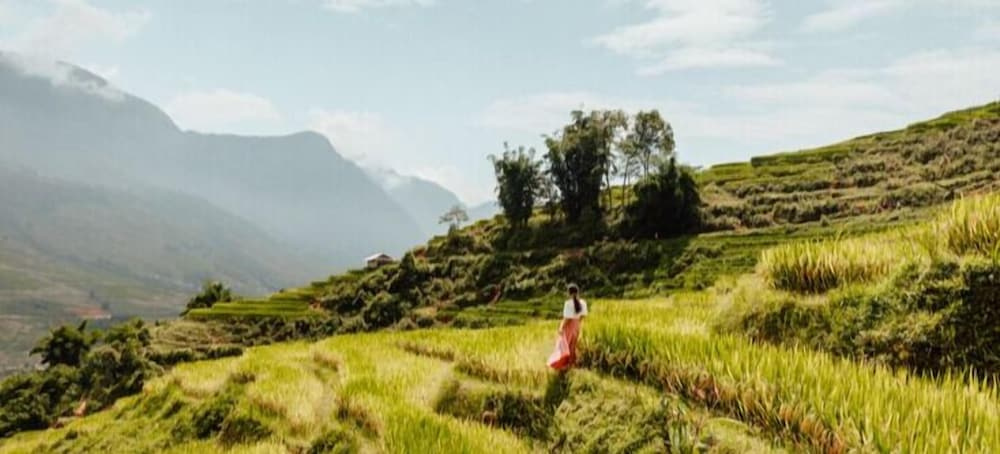 Sapa Eco Bungalows & Spa