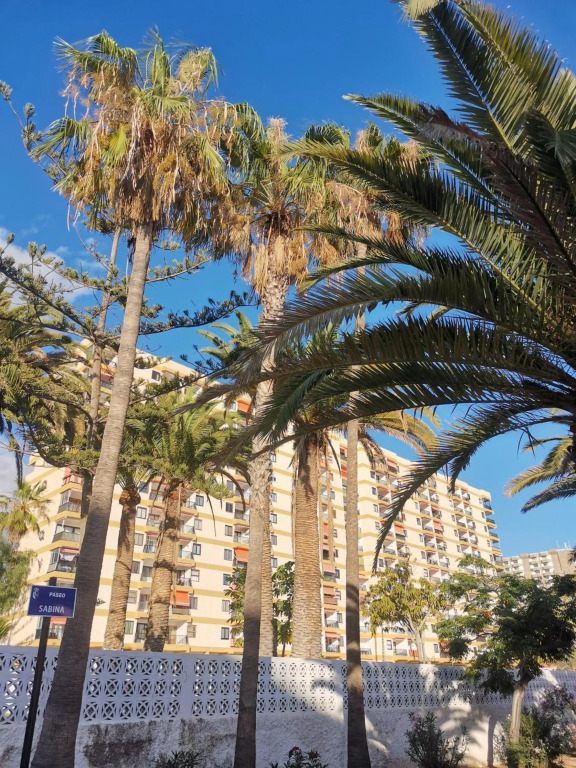 Los Cristianos Achacay Appartement standing Vue panoramique