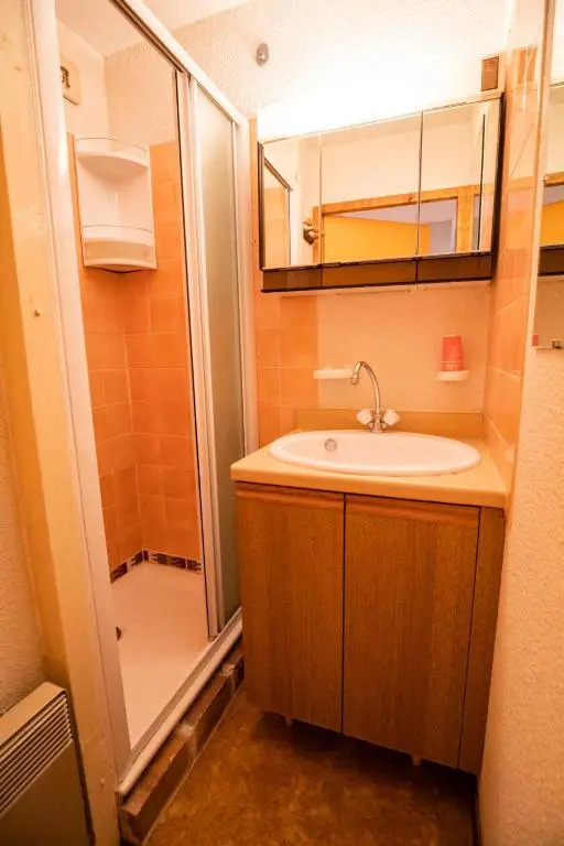 Résidence Le Grand Vallon - Studio pour 4 Personnes 193157