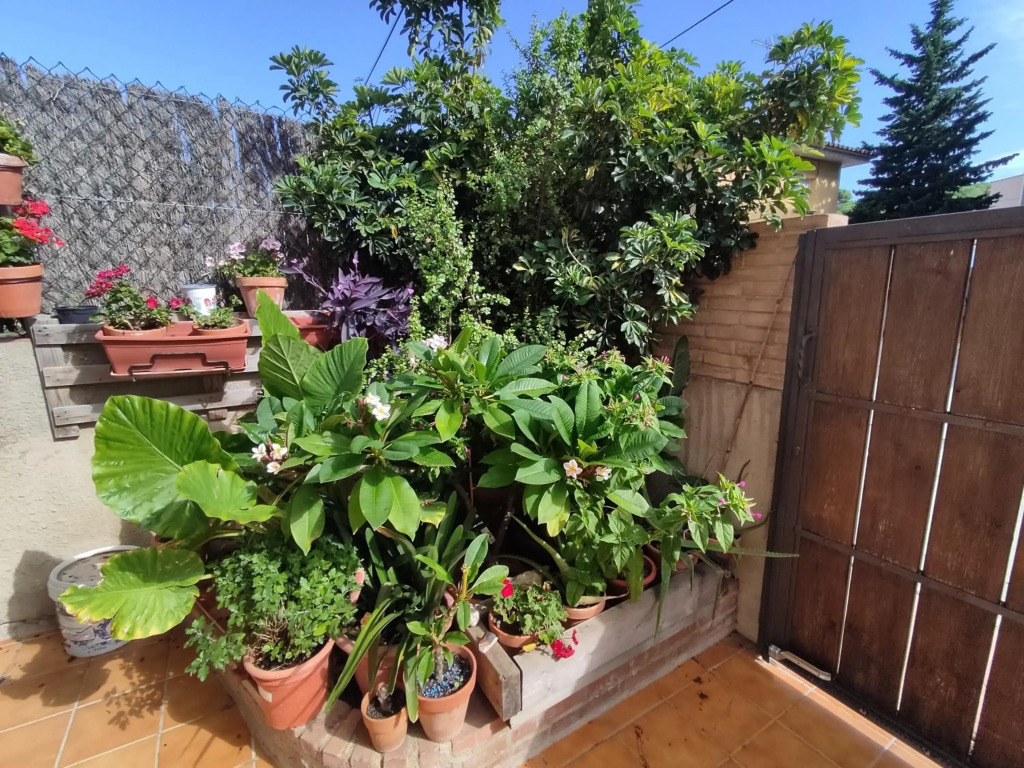 Rústic Amb Piscina Privada
