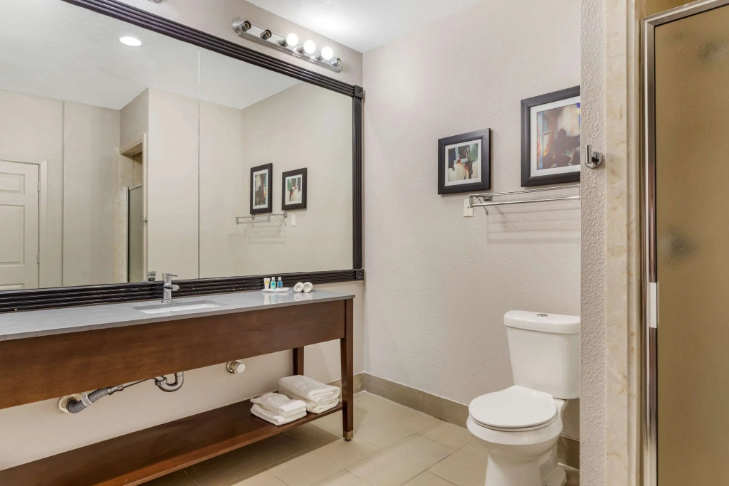 Comfort Suites Shenandoah-The Woodlands