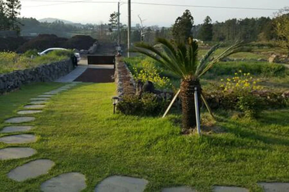 Sonangche