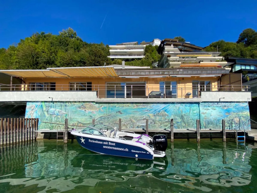 Seestern am See mit Bootsvermietung