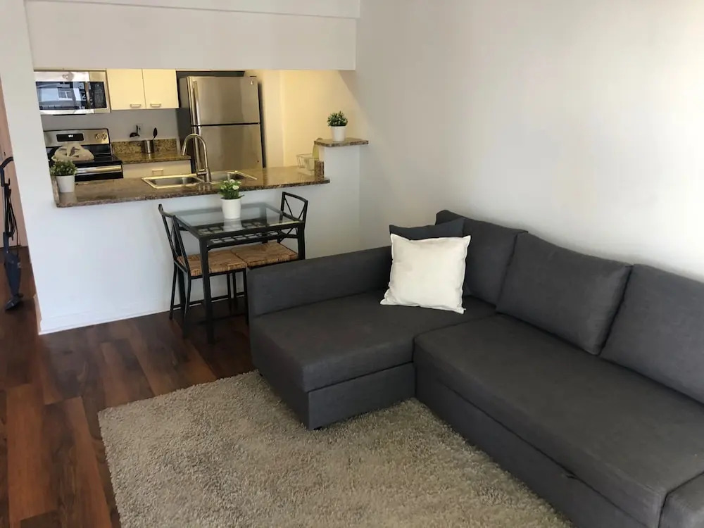 One Bedroom Apartment in Skyrise