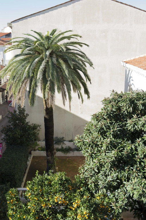 Appartement Cannes rue Marceau