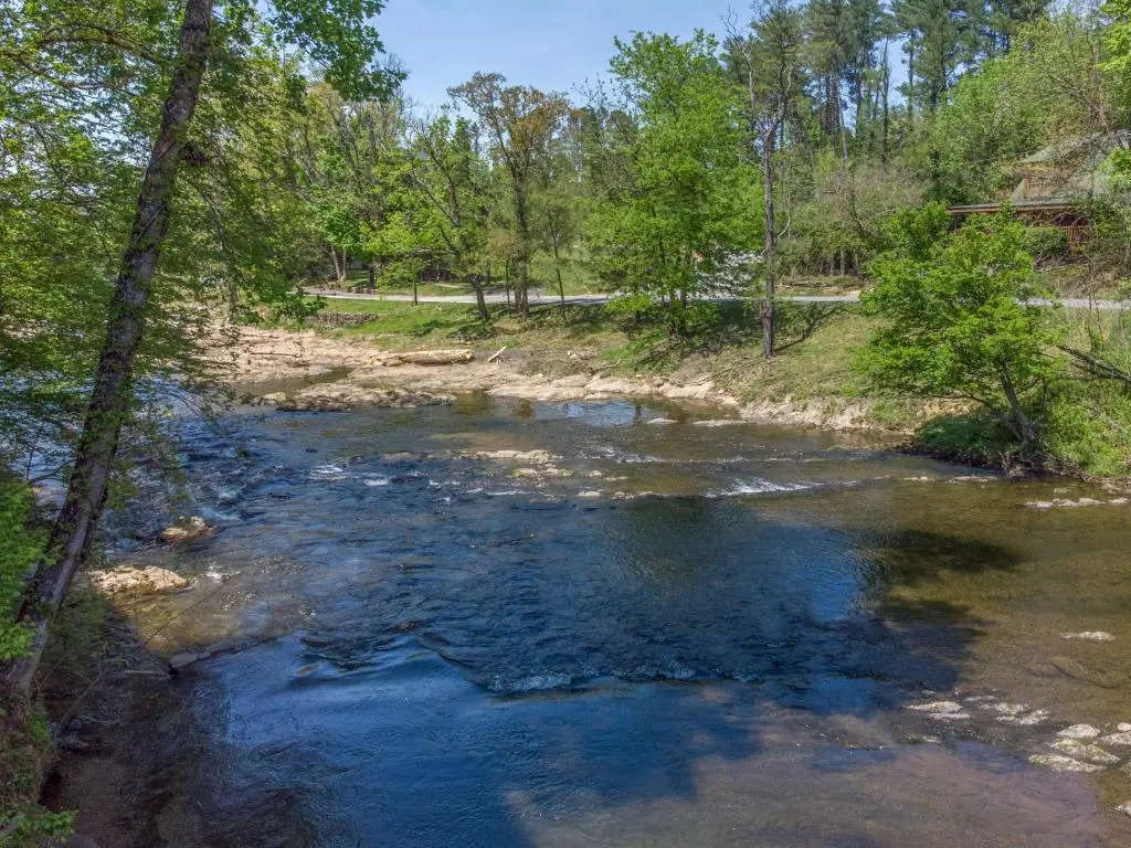 Stream On! Cedar Lodge 201