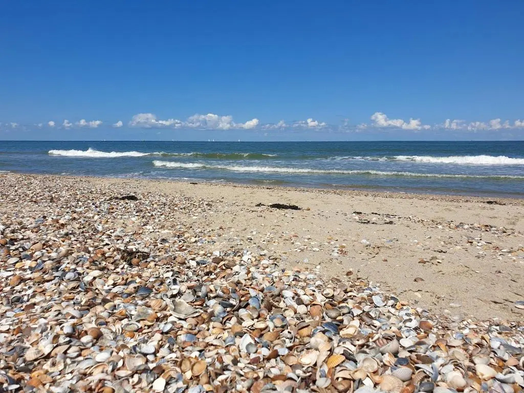 Ferienparadies Seeluft