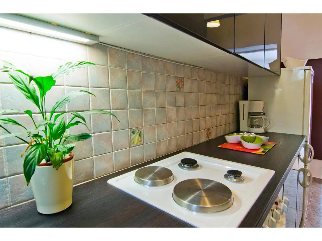 Apartment Lemon Tree