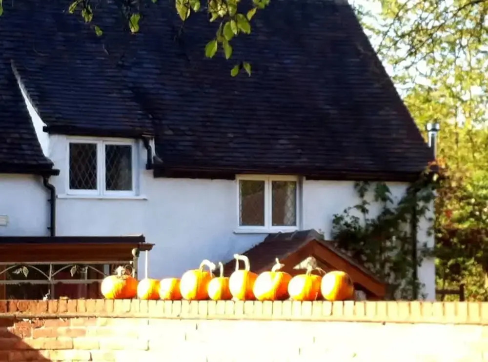 Brook House