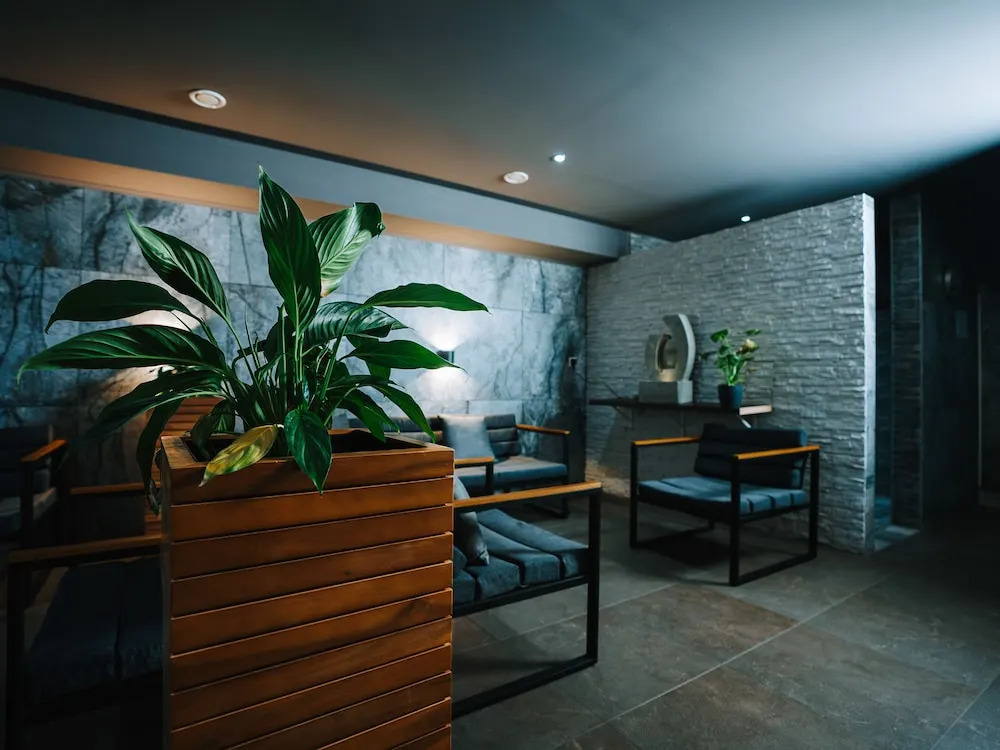 We Wellness