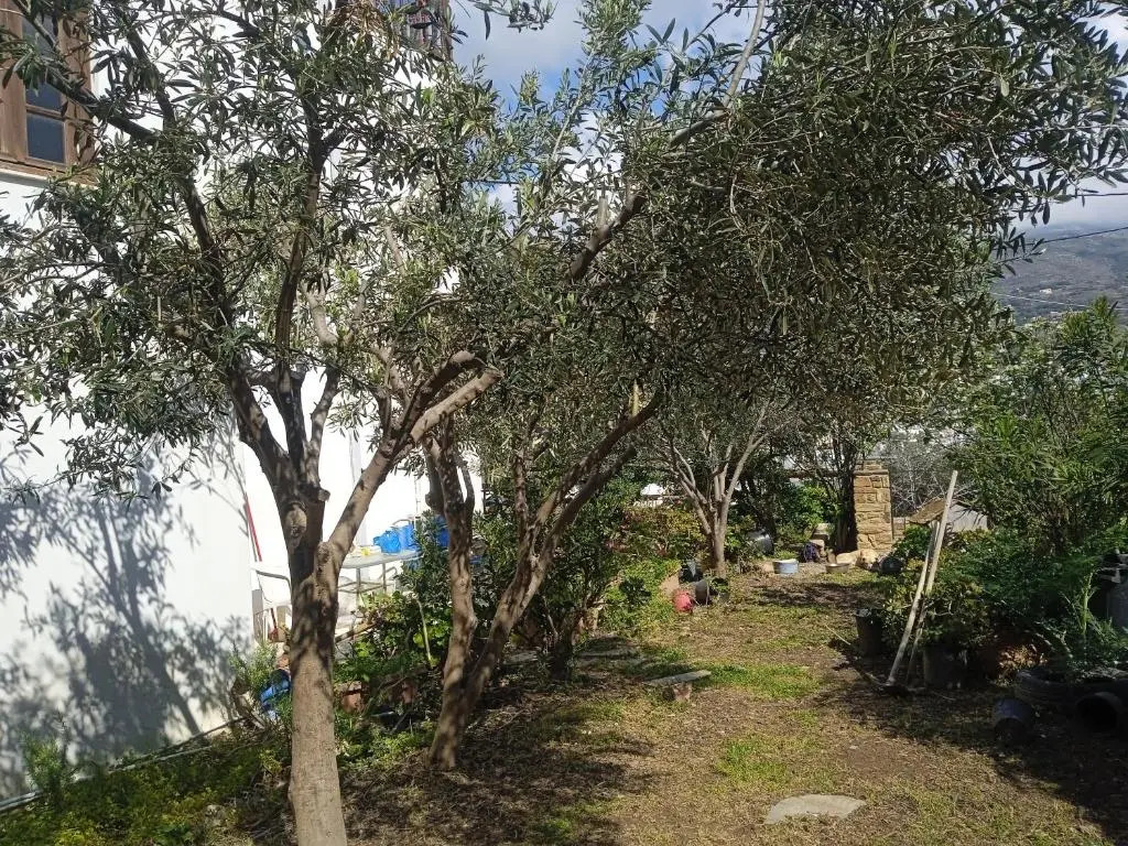 Villa Athina 3