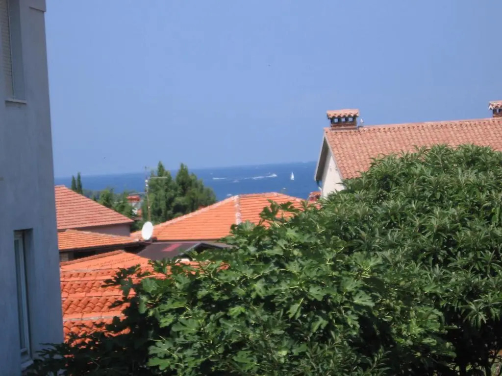 Apartment Iva