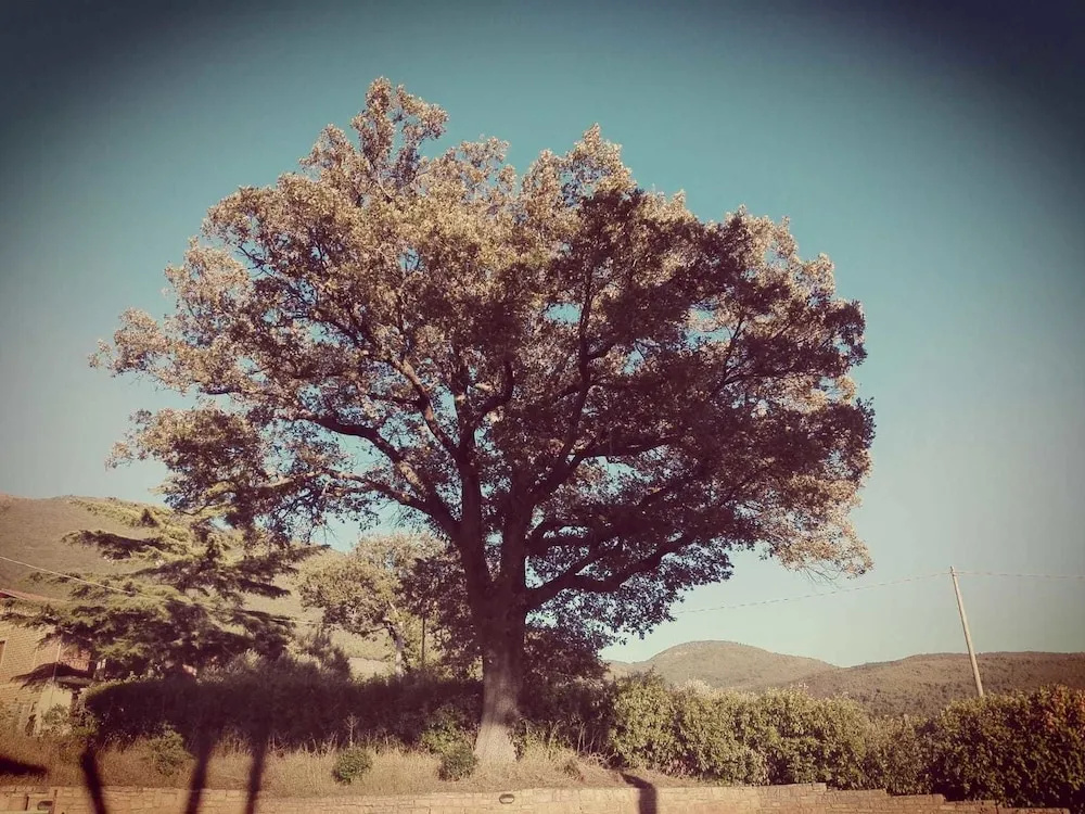 b&b Le Querce di Mamre
