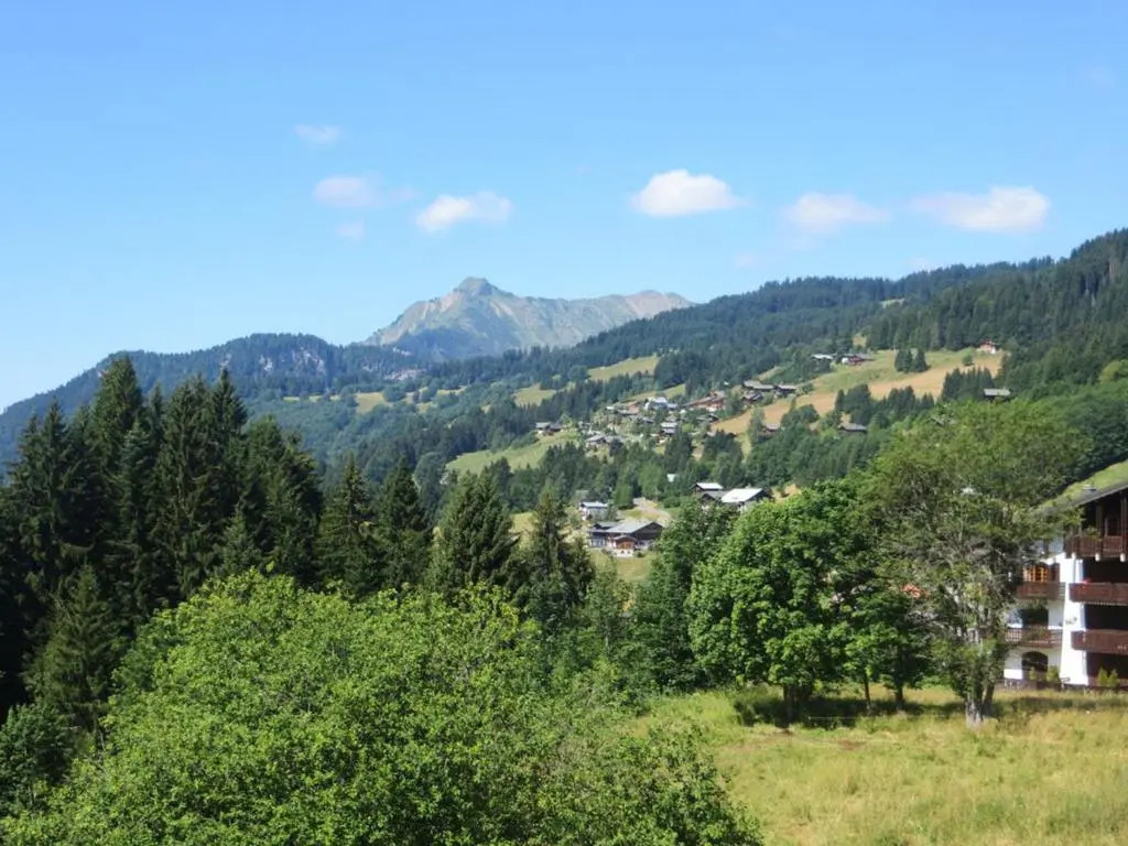 Studio Les Gets, 1 pièce, 3 personnes - FR-1-623-276