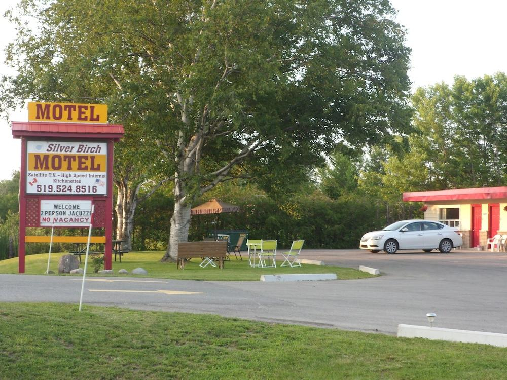 The Silver Birch Motel