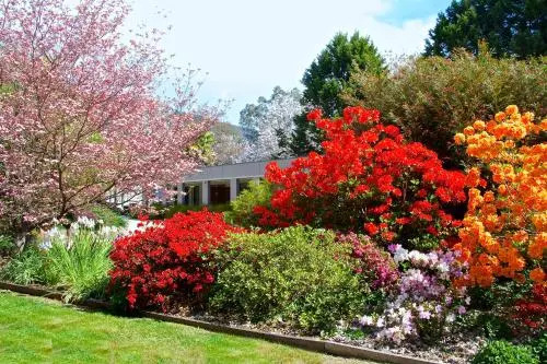 Grevillea Gardens