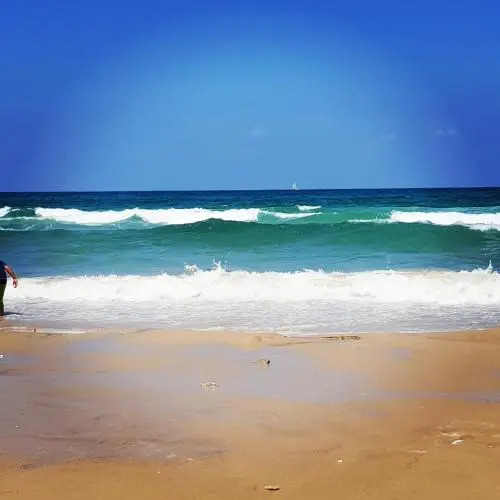 Sweet Home On The Beach