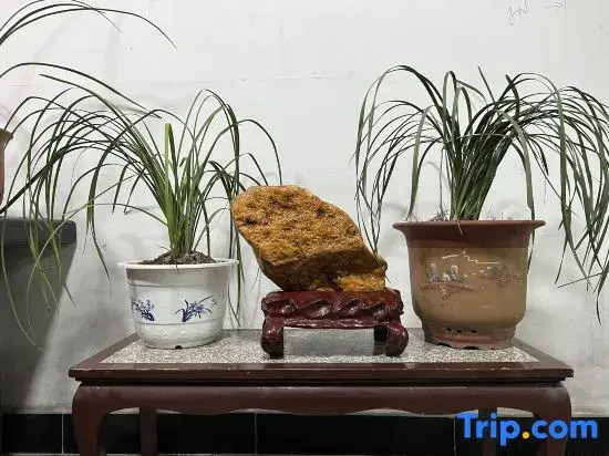 Hot Springs Homestay