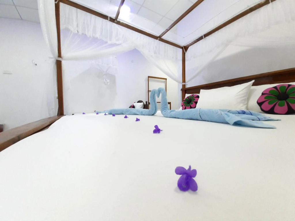 Galaxy View Homestay Sigiriya