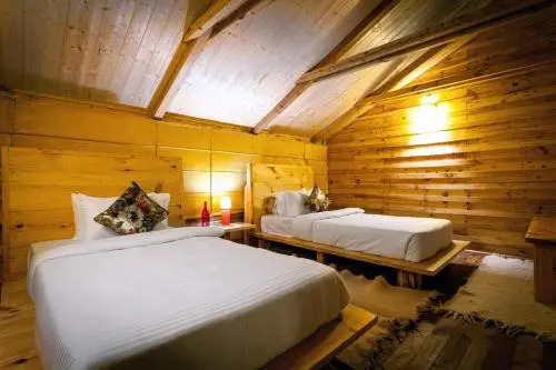 Suro Treehouse Resort