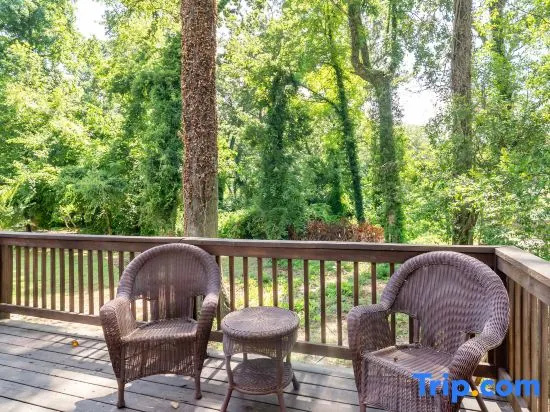 Unique Vivid Modern House; Near DT ATL/metroaccess